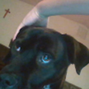 Meet your Posher, Austin